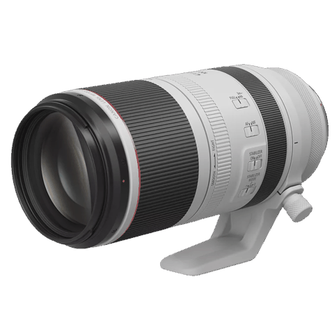 Canon RF 100-500mm F4.5-7.1 L IS USM Lens — Electronics