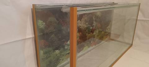 Akvarium 12 lik şüşə ilə hazırlanıb.Uzunluq:110sm.Eni: 32sm.Hündürlük — 70 ₼ · Сумгайыт · Akvariumlar və balıqlar Akvarium 12 lik şüşə ilə hazırlanıb.Uzunluq:110sm.Eni: 32sm.Hündürlük — Сумгайыт