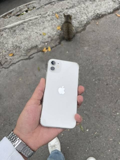 IPhone 11, 64 GB, Ağ, Face ID — Bakı