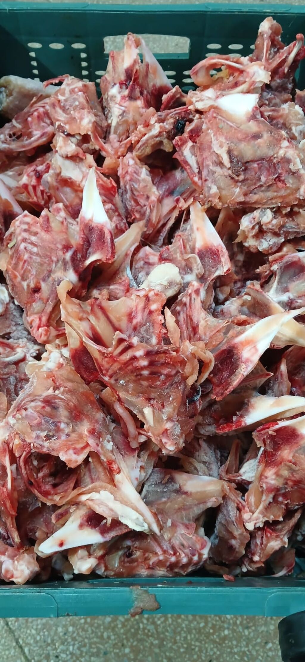 Toyuq Topdan, Pulsuz çatdırılma — Qida məhsulları, Mehdiabad (6)