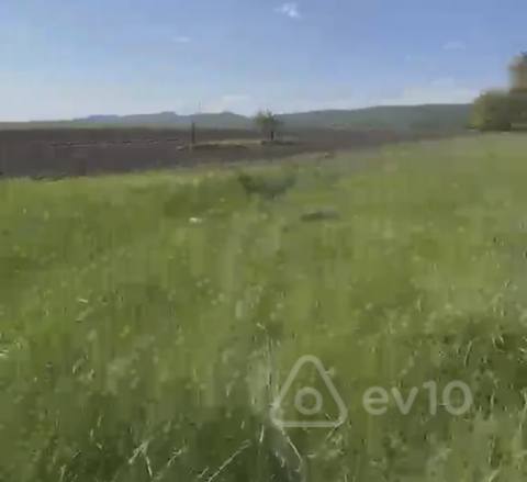 Torpaq sahəsi, 3000 sot, Quba rayonu Vəlvələ kəndi — Guba