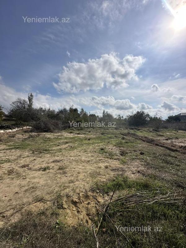 For sale: land, 2.52 sot — Torpaq, Sumqayıt (5)