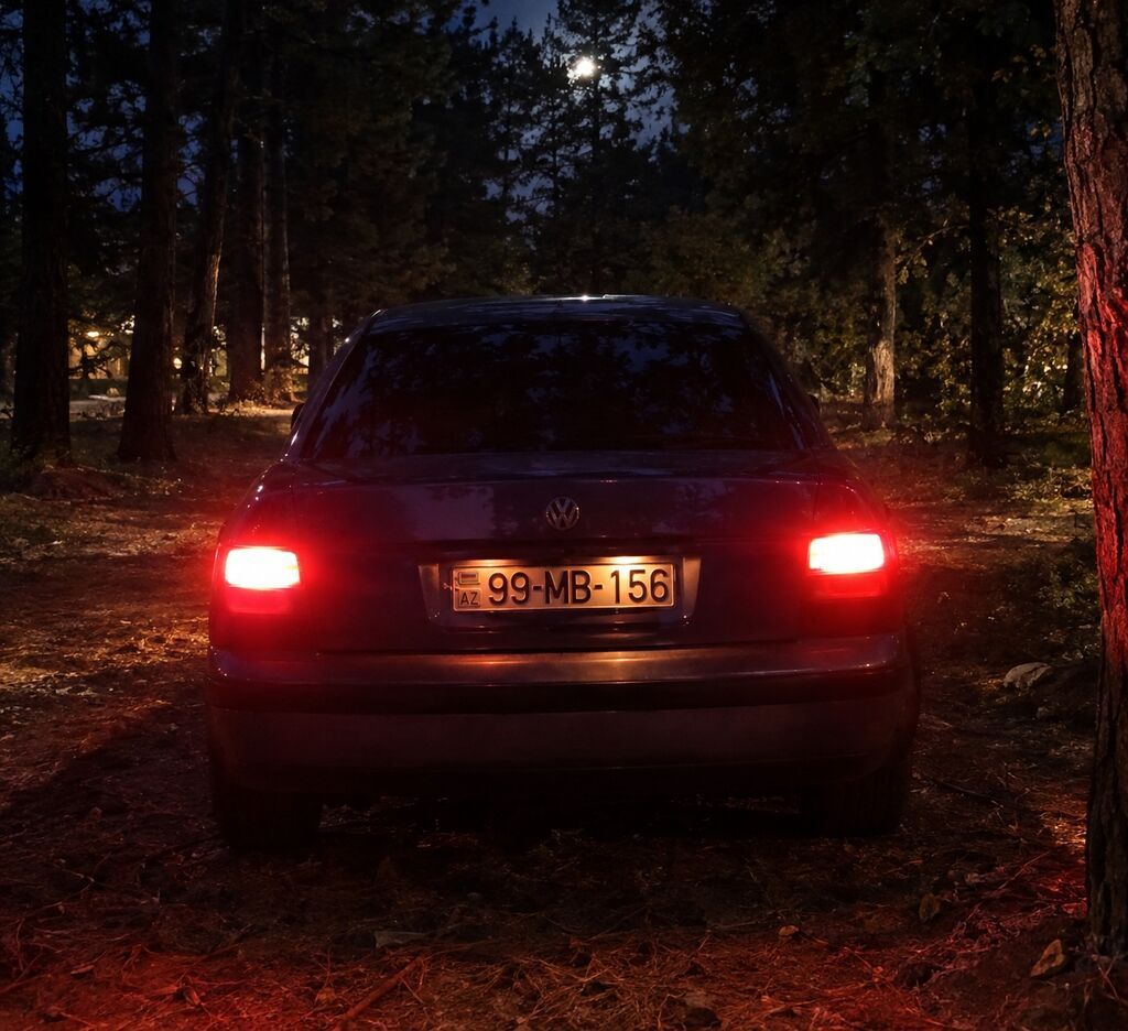 Volkswagen Passat: 1.8 l Sedan