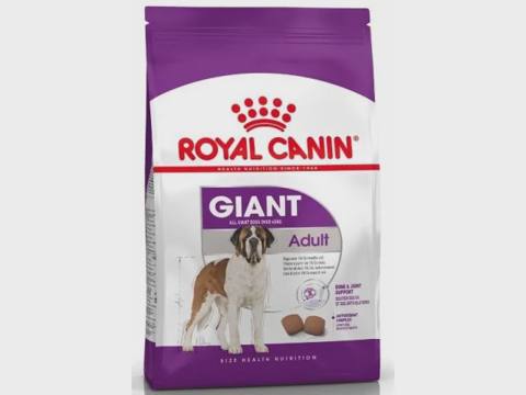 Royal Canin Giant Adult, 18/24 aydan yuxarı nəhəng cins itlər üçün quru yem (bütöv kisə, 15 kq) — 200 ₼ · Baku · Heyvan malları Royal Canin Giant Adult, 18/24 aydan yuxarı nəhəng cins itlər üçün quru yem (bütöv kisə, 15 kq) — Baku