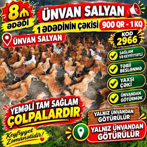 Kənd toyuğu Toyuq Bütöv, Pərakəndə, Ünvandan götürmə — 8 ₼ · Сальян · Qida məhsulları Kənd toyuğu Toyuq Bütöv, Pərakəndə, Ünvandan götürmə — Сальян