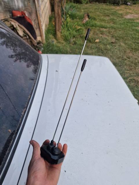 Avtomobil üçün ikili dekorativ antena aksesuarı. Məhsul iki ədəd nazik — Cars