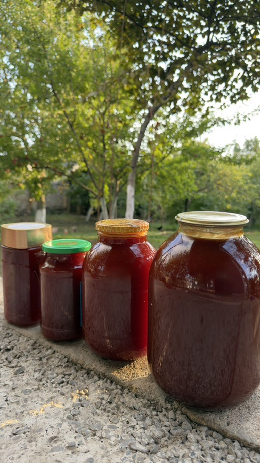 Təbii İtburnu Bəhməzi Ləzzəti ilə seçilən təbii dad — Qida məhsulları, Samux (3)