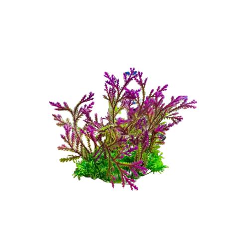 Akvarium üçün süni bitki, plastik — Bakı