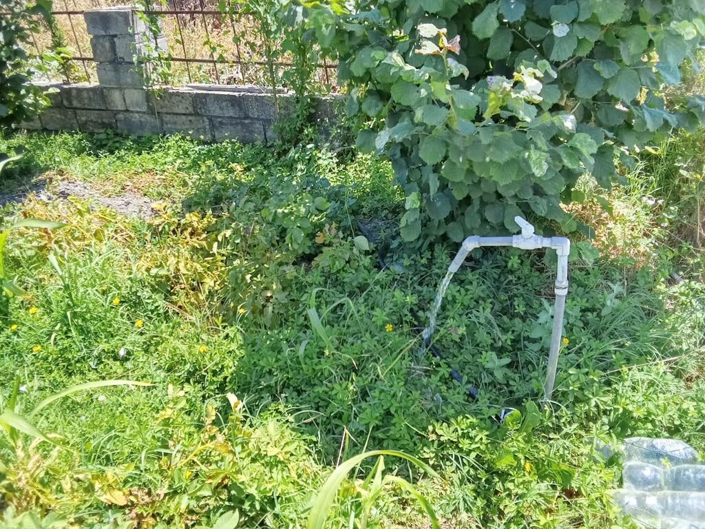For sale: land, 8 sot — Torpaq, Xaçmaz (7)