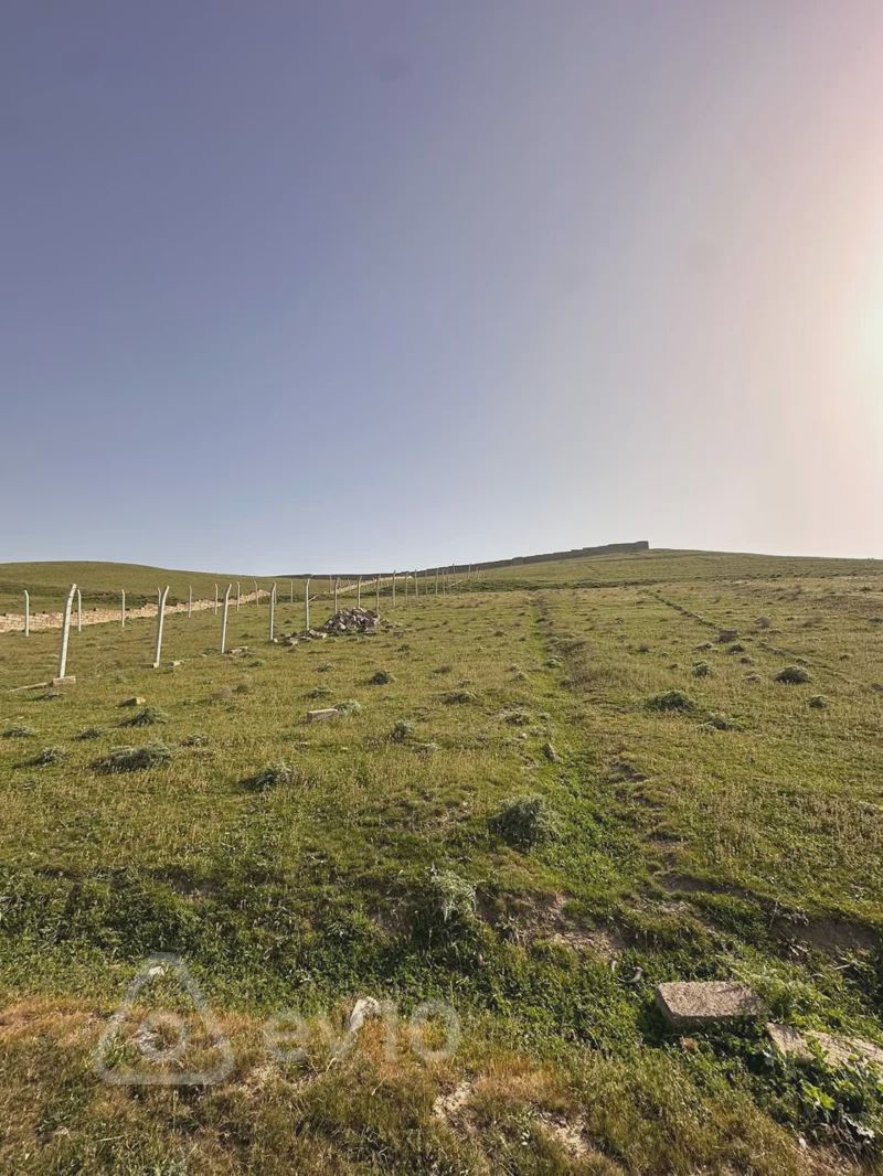 For sale: land, 10 sot — Torpaq, Bakı (5)