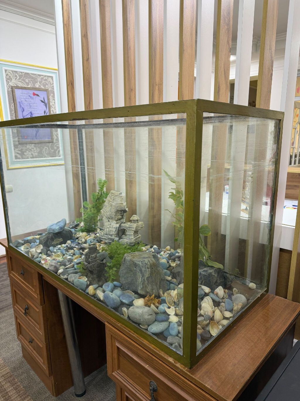 Dördbucaq akvarium, Boş, 360 l — Akvariumlar və balıqlar, Bakı (2)