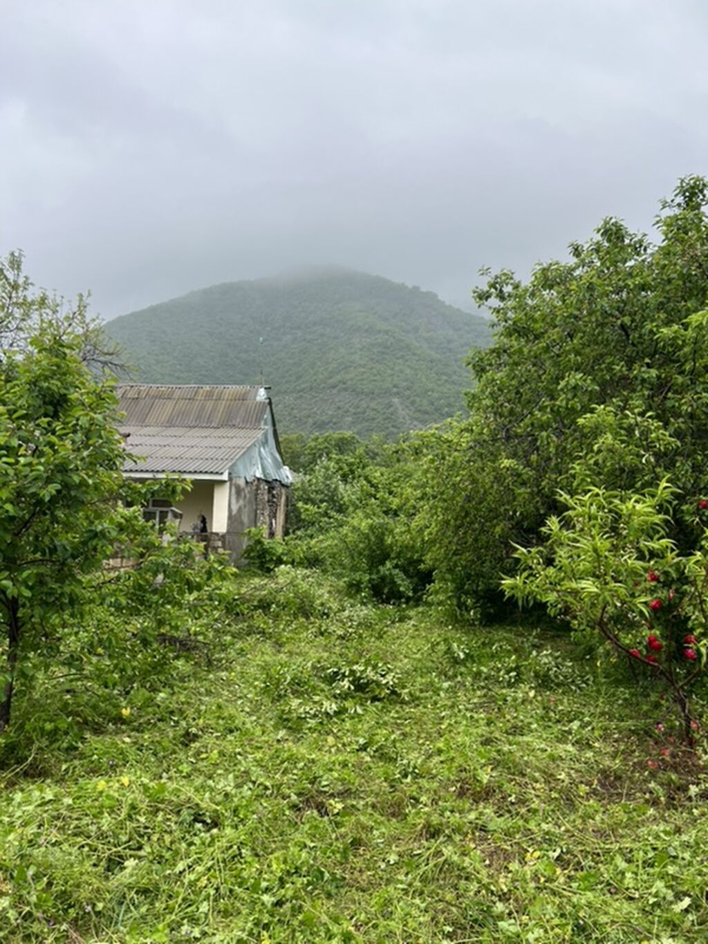For sale: land, 5 sot — Torpaq, Bakı (2)