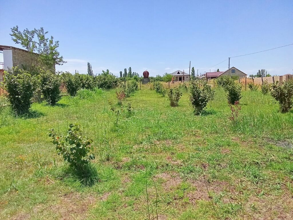 For sale: land, 8 sot — Torpaq, Xaçmaz (9)