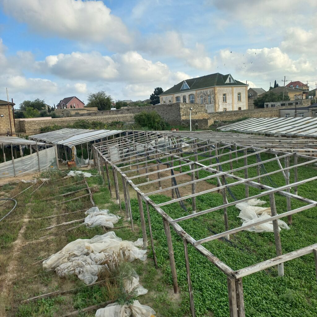 26 sot, Tikinti, Mülkiyyətçi, Kupça (Çıxarış) — Torpaq, Digah (5)