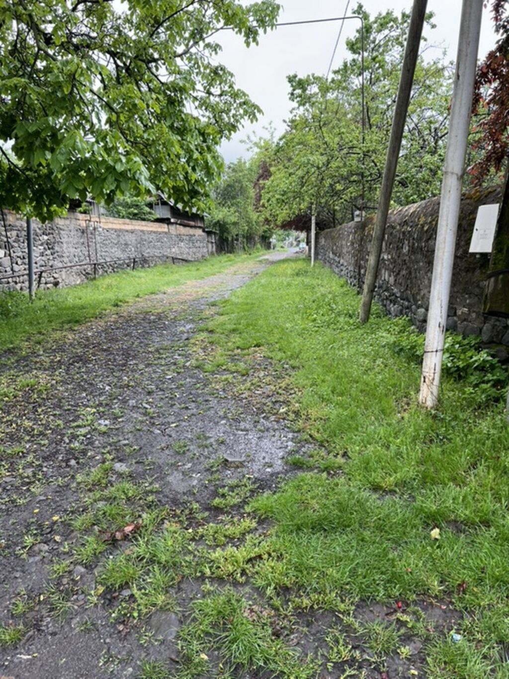 For sale: land, 5 sot — Torpaq, Bakı (4)