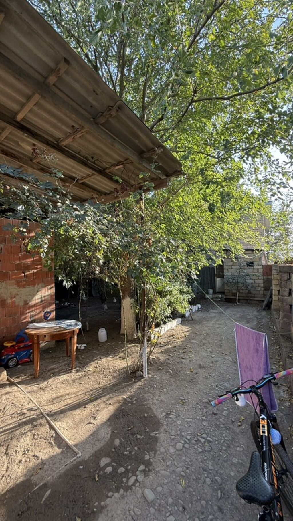 For sale: 1-room house / Cottage / Villa — Ev, villa, Masallı (7)