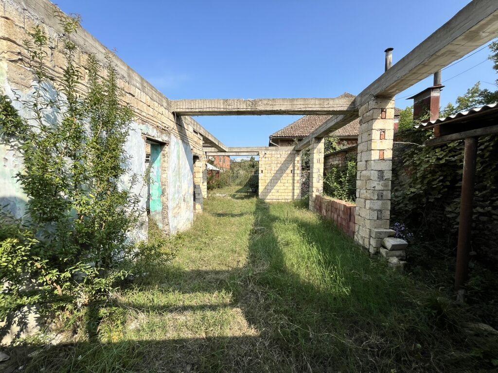 Tikinti — Torpaq, Lənkəran (3)