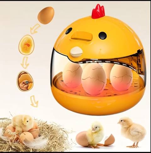 Yumurta İnkubatoru – ev şəraitində istifaə üçün tam həll Çatdırılma — 40 ₼ · Bakı · Digərləri Yumurta İnkubatoru – ev şəraitində istifaə üçün tam həll Çatdırılma — Bakı