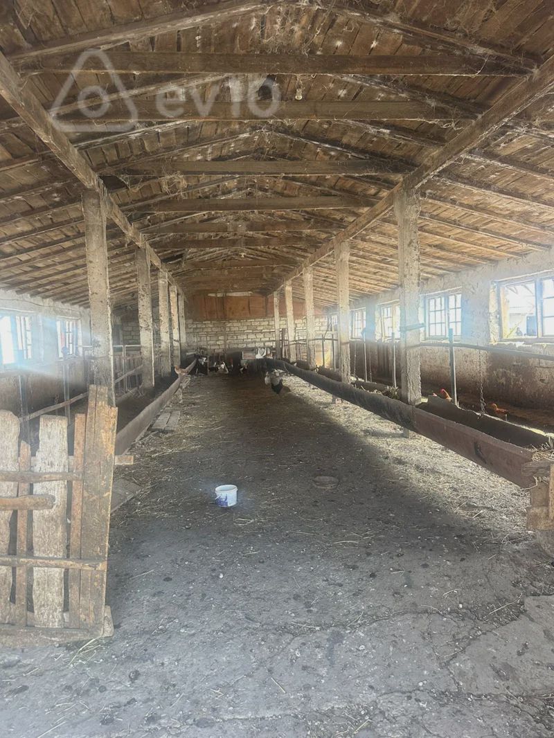 Obyekt, 500 m², Göyçay şəhəri — Əmlak, Göyçay (8)