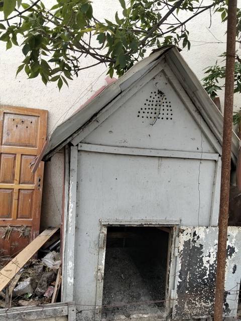Salam Icinde qus ve toyuq saxlamaq olar artiq vaxt olmadigi ucun — 100 ₼ · Sumgayit · Kunalar Salam Icinde qus ve toyuq saxlamaq olar artiq vaxt olmadigi ucun — Sumgayit