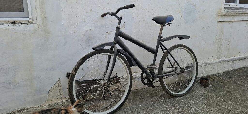 Şəhər velosipedi – tək sürət, sadə və etibarlı quruluş - Çərçivə — Yol velosipedləri, Saray (2)