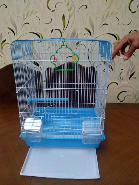 Salam. Tep teze qefes satilir. Istifade olunmayib. Aldiq istifade — 20 ₼ · Bakı · Qəfəslər Salam. Tep teze qefes satilir. Istifade olunmayib. Aldiq istifade — Bakı