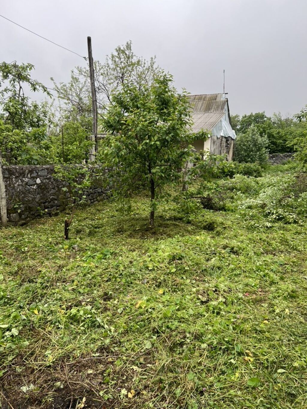 For sale: land, 5 sot — Torpaq, Bakı (8)