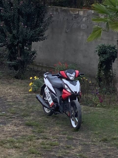 Skuter tipli motosiklet – şəhər içi rahat və qənaətcil nəqliyyat — 900 ₼ · Balakən · Mopedlər və skuterlər Skuter tipli motosiklet – şəhər içi rahat və qənaətcil nəqliyyat — Balakən