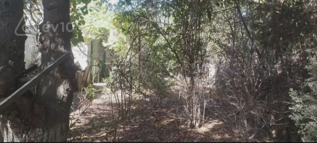 For sale: land, 3 sot — Torpaq, Bakı (3)