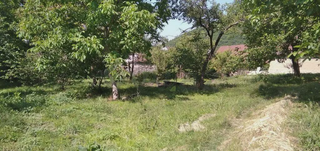 10 sot Torpaq Satılır, Şəki — Torpaq, Şəki (7)
