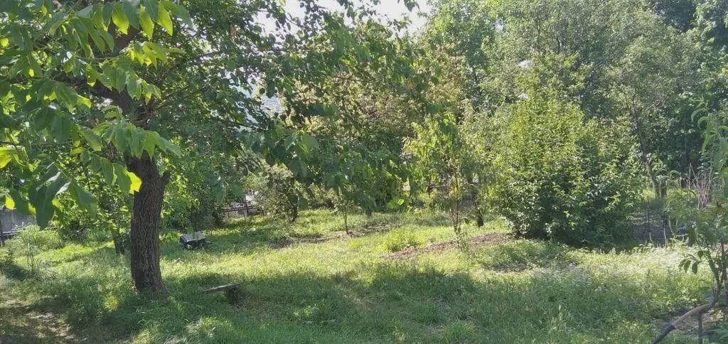 10 sot Torpaq Satılır, Şəki — Torpaq, Şəki