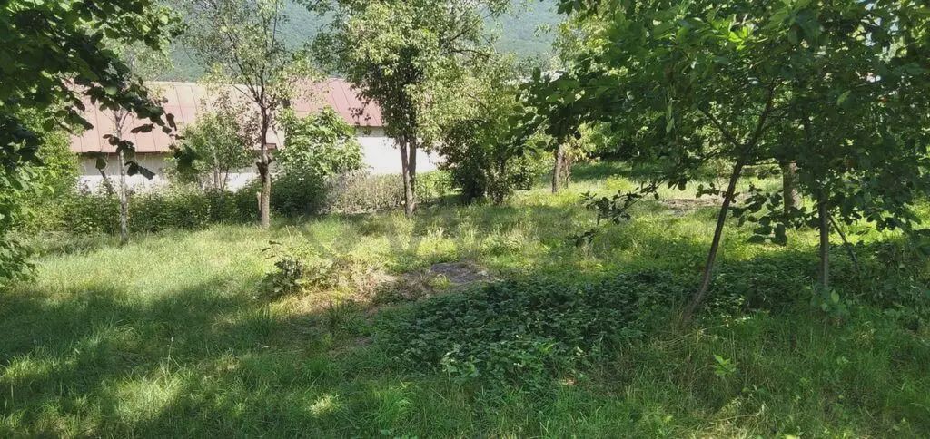 10 sot Torpaq Satılır, Şəki — Torpaq, Şəki (11)