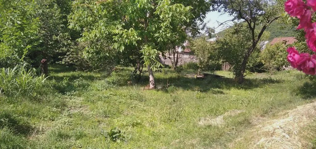 10 sot Torpaq Satılır, Şəki — Torpaq, Şəki (9)