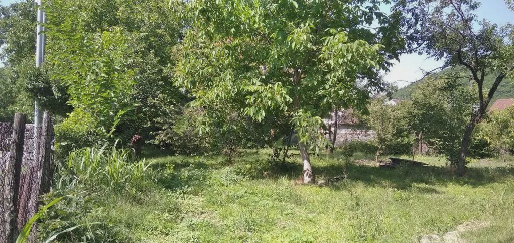 10 sot Torpaq Satılır, Şəki — Torpaq, Şəki (6)