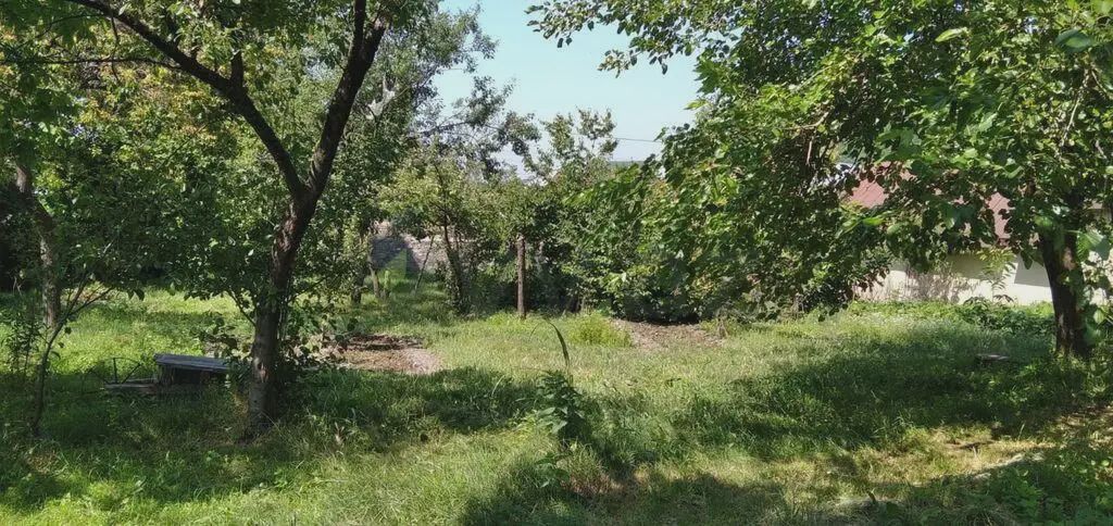 10 sot Torpaq Satılır, Şəki — Torpaq, Şəki (2)