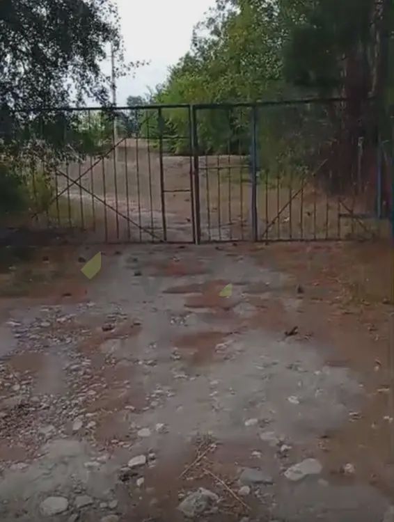 520 sot Torpaq Satılır, Şabran — Torpaq, Şabran