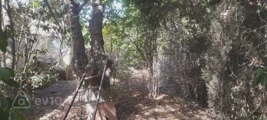 For sale: land, 3 sot — Torpaq, Bakı (2)