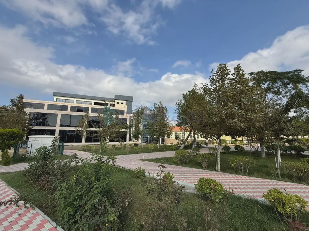 For sale: land, 2 sot — Torpaq, Masazır (7)