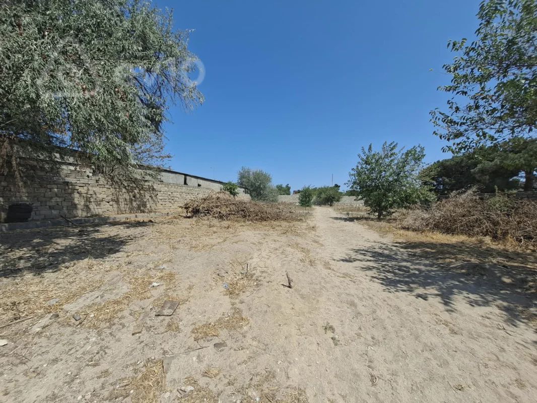 For sale: land, 7 sot — Torpaq, Bakı (6)