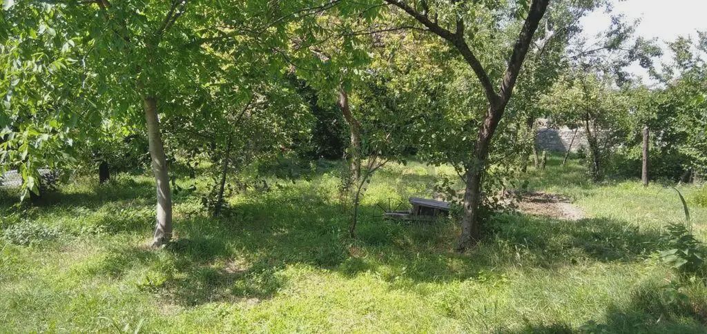 10 sot Torpaq Satılır, Şəki — Torpaq, Şəki (4)