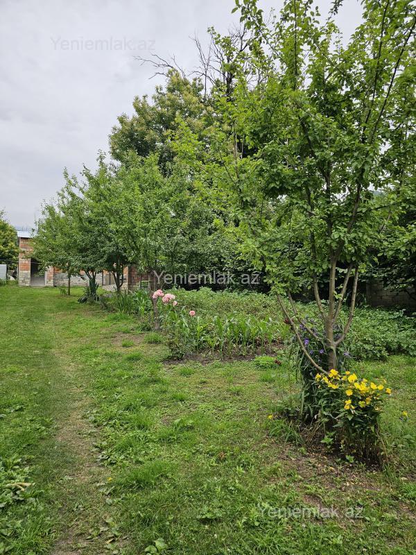 Daily rent: 3-room house / Cottage / Villa, 80 m² — Ev, villa, İsmayıllı (5)