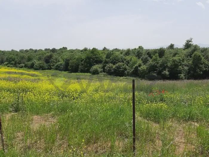 192 sot Torpaq Satılır, Quba — Torpaq, Quba (5)