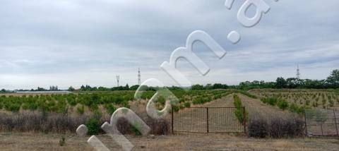 200 sot Torpaq, Satış, Göyçay — 75 000 ₼ · Göyçay · Torpaq 200 sot Torpaq, Satış, Göyçay — Göyçay
