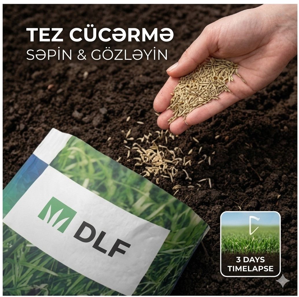 Qazon toxmu 20 kq — Mallar, Bakı (3)