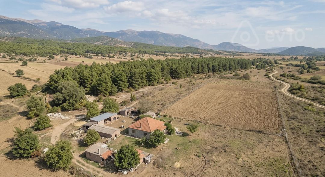 For sale: land, 180 sot — Torpaq, İsmayıllı (3)