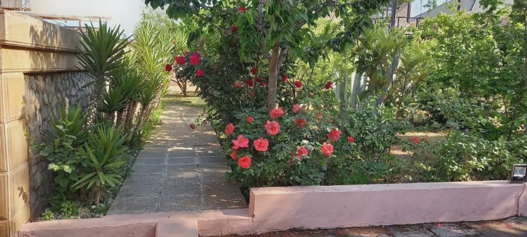 For sale: 1-room house / Cottage / Villa, 200 m² — Ev, villa, Bakı (2)