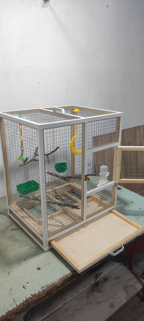 Papuqay,dovşan,hamster,şinşila,bildirçin,cücə,xamyak,pişik,quş,tısbağa — 20 ₼ · Baku · Qəfəslər Papuqay,dovşan,hamster,şinşila,bildirçin,cücə,xamyak,pişik,quş,tısbağa — Baku