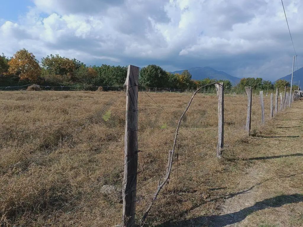 Torpaq satılır Qəbələ ş — Torpaq, Bakı (10)