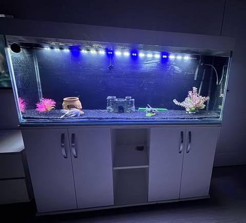 Akvarium 250 azn satilir‼ 1.40 uzunluğu,55sm Hündürlük,35 sm eni — Baku