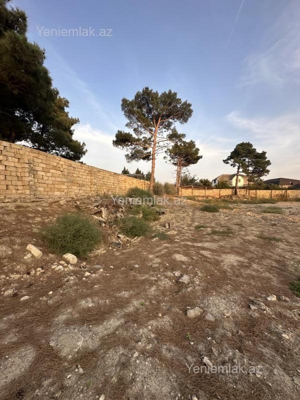 Satılık arsa, 18 sot — Torpaq, Sumqayıt (3)